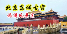 乌克兰女毛茸茸丰满的女人中国北京-东城古宫旅游风景区